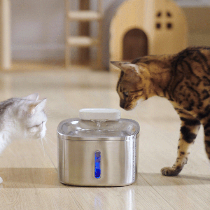 Cordless Smart Pet Water Fountain