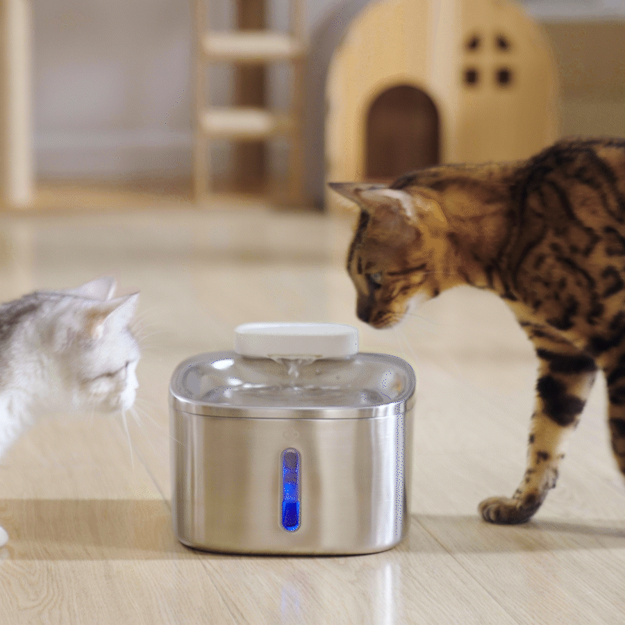 Cordless Smart Pet Water Fountain