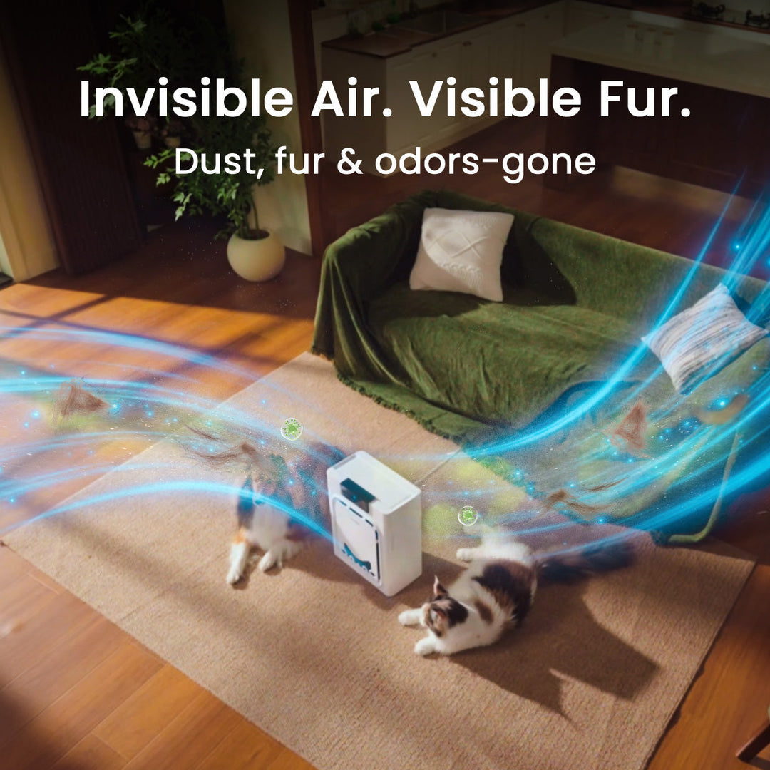 Pet Air Purifier
