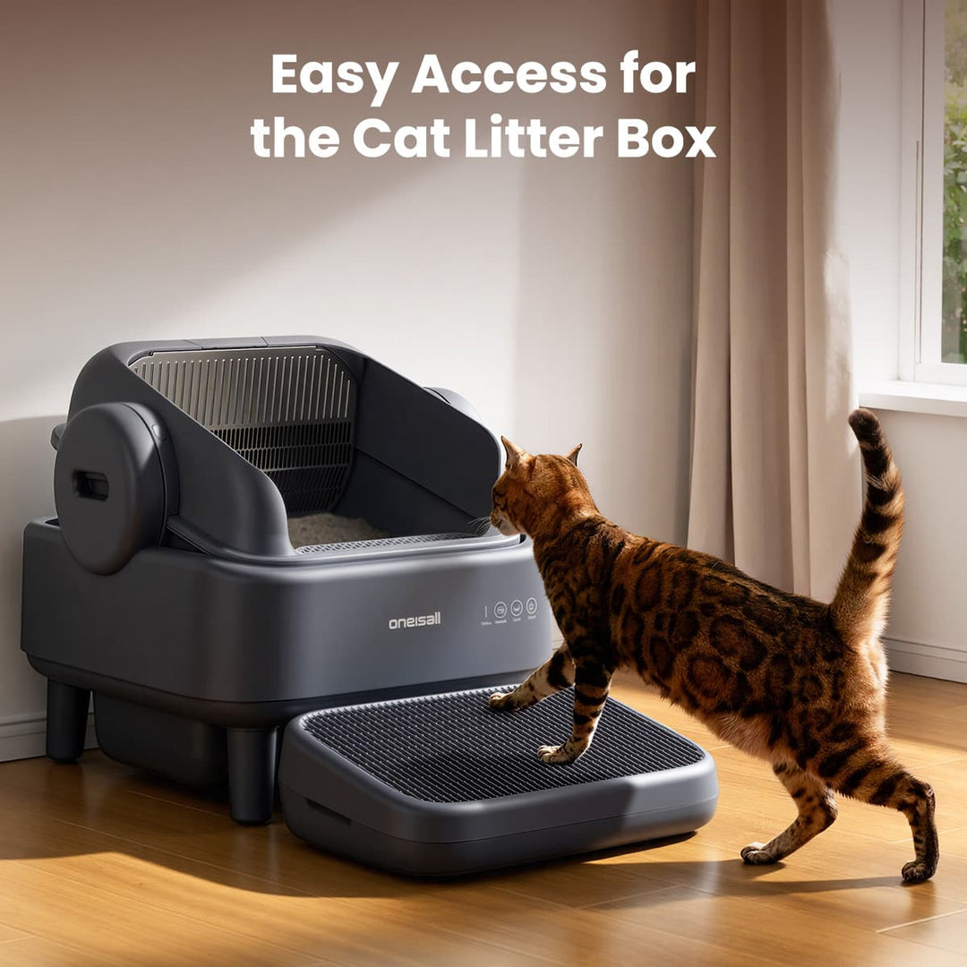  Self-Cleaning Litter Box
