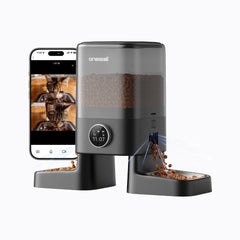 Automatic Cat Feeders