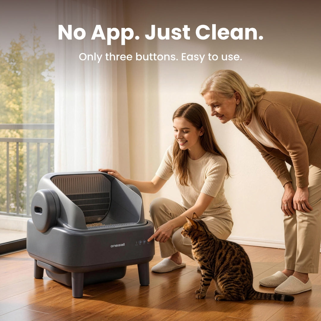 Self-Cleaning Litter Box