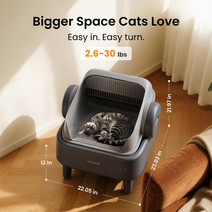 Self-Cleaning Litter Box