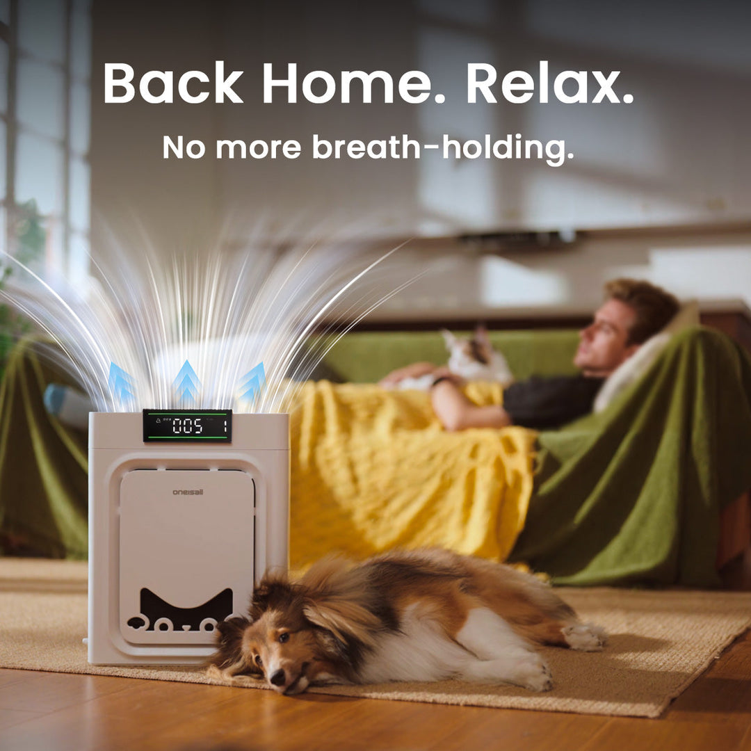Pet Air Purifier