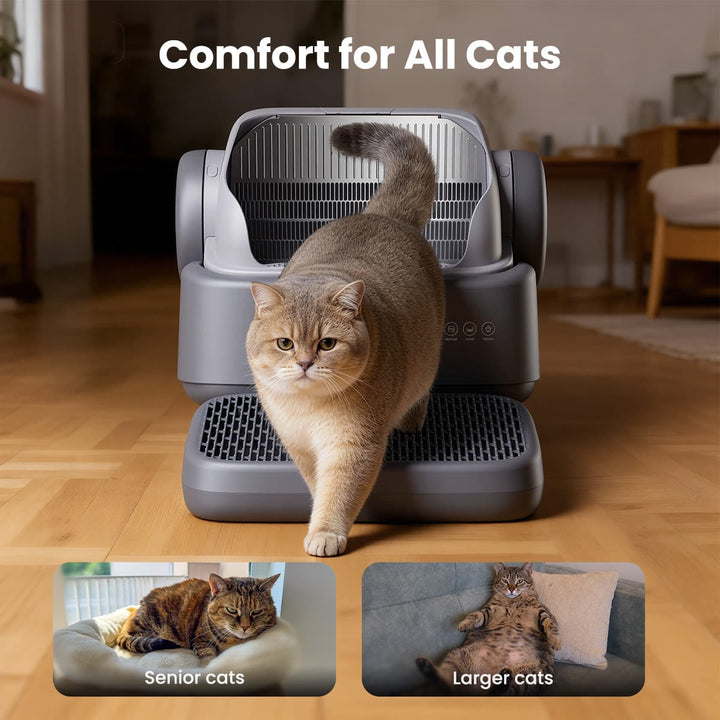  Self-Cleaning Litter Box