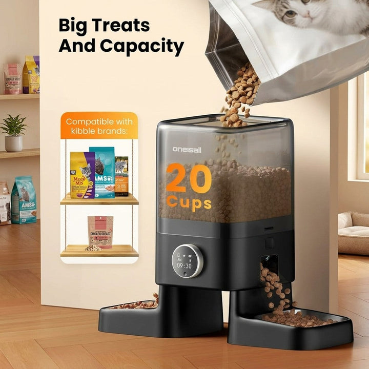 Automatic Cat Feeders