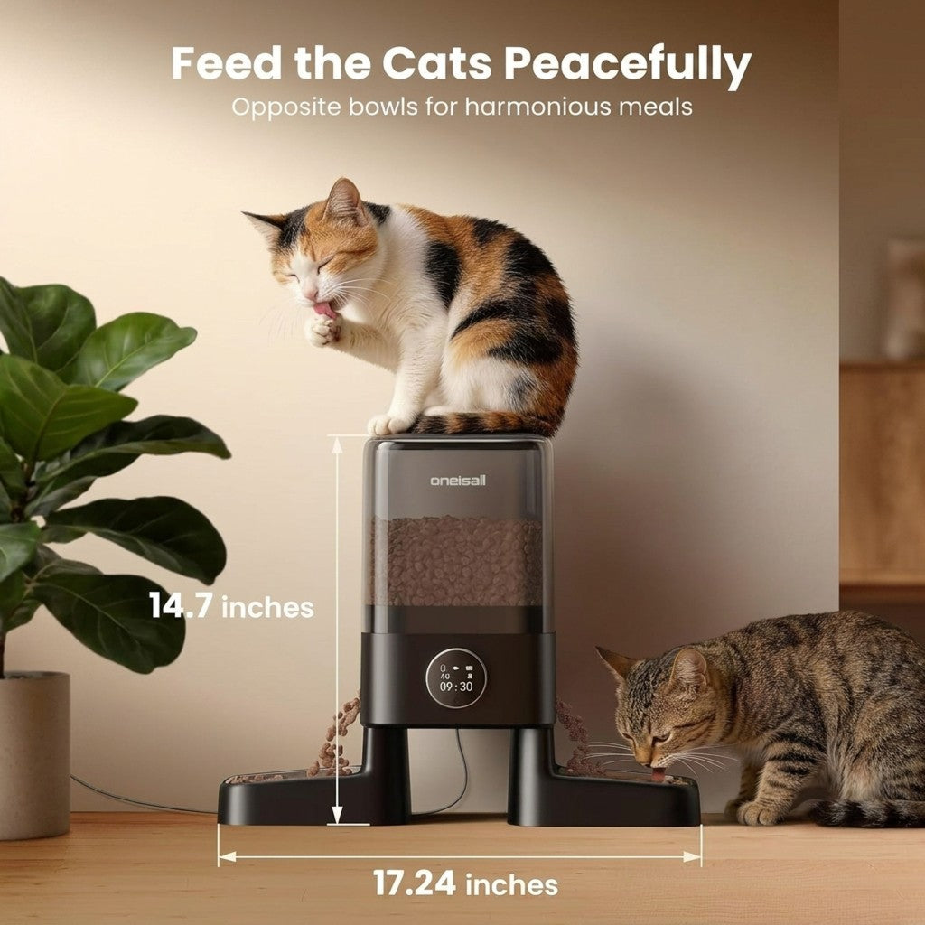 Cat Feeders
