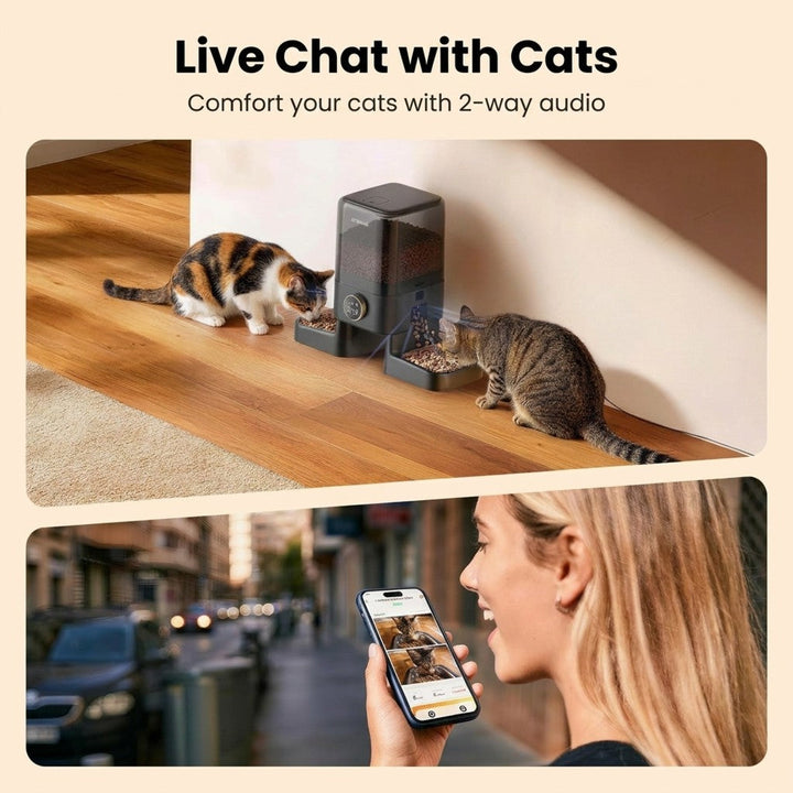 Automatic Cat Feeders