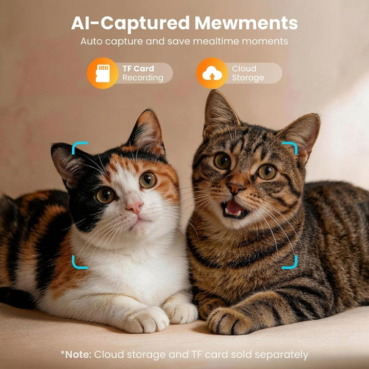 Automatic Cat Feeders