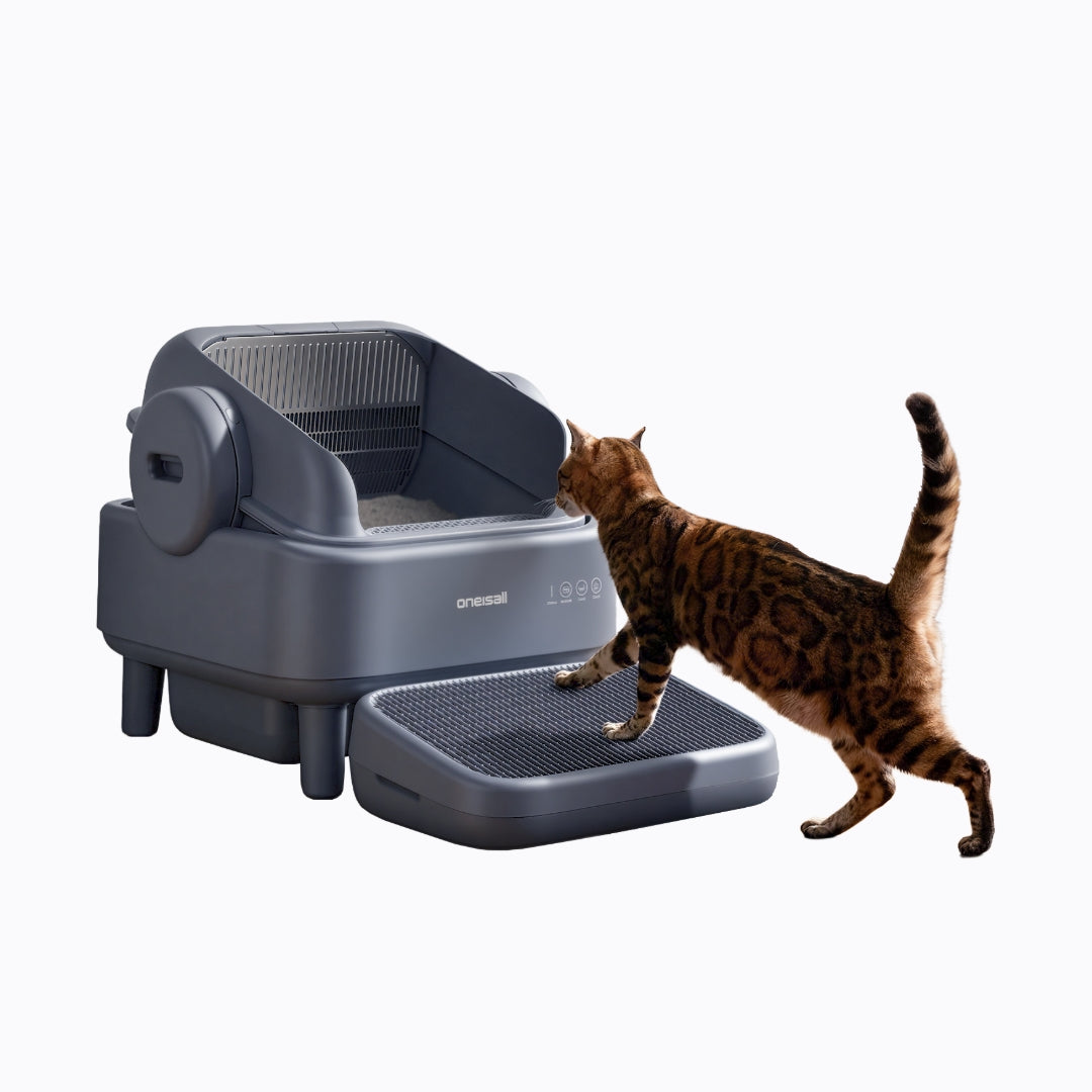 Self-Cleaning Litter Box