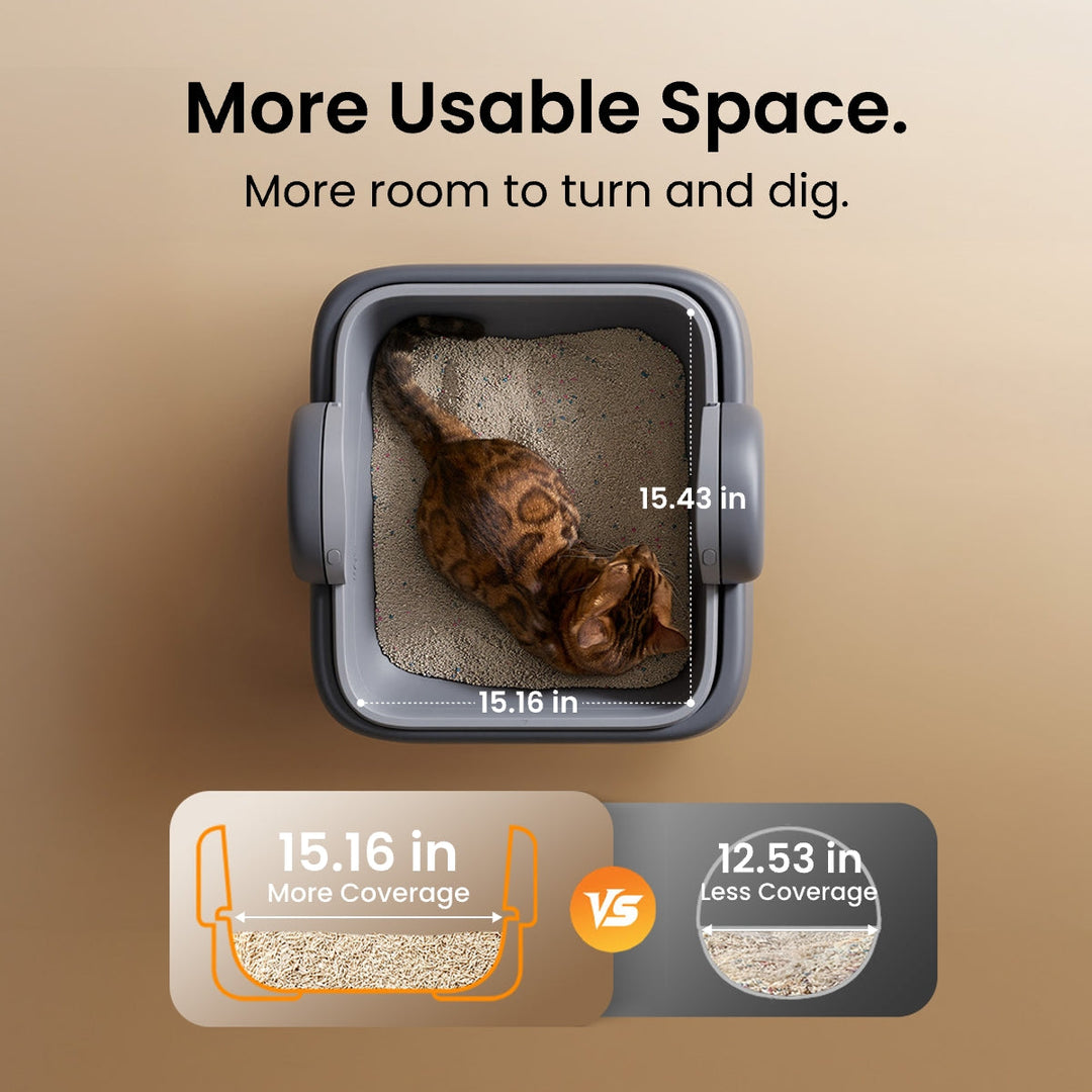 Self-Cleaning Litter Box
