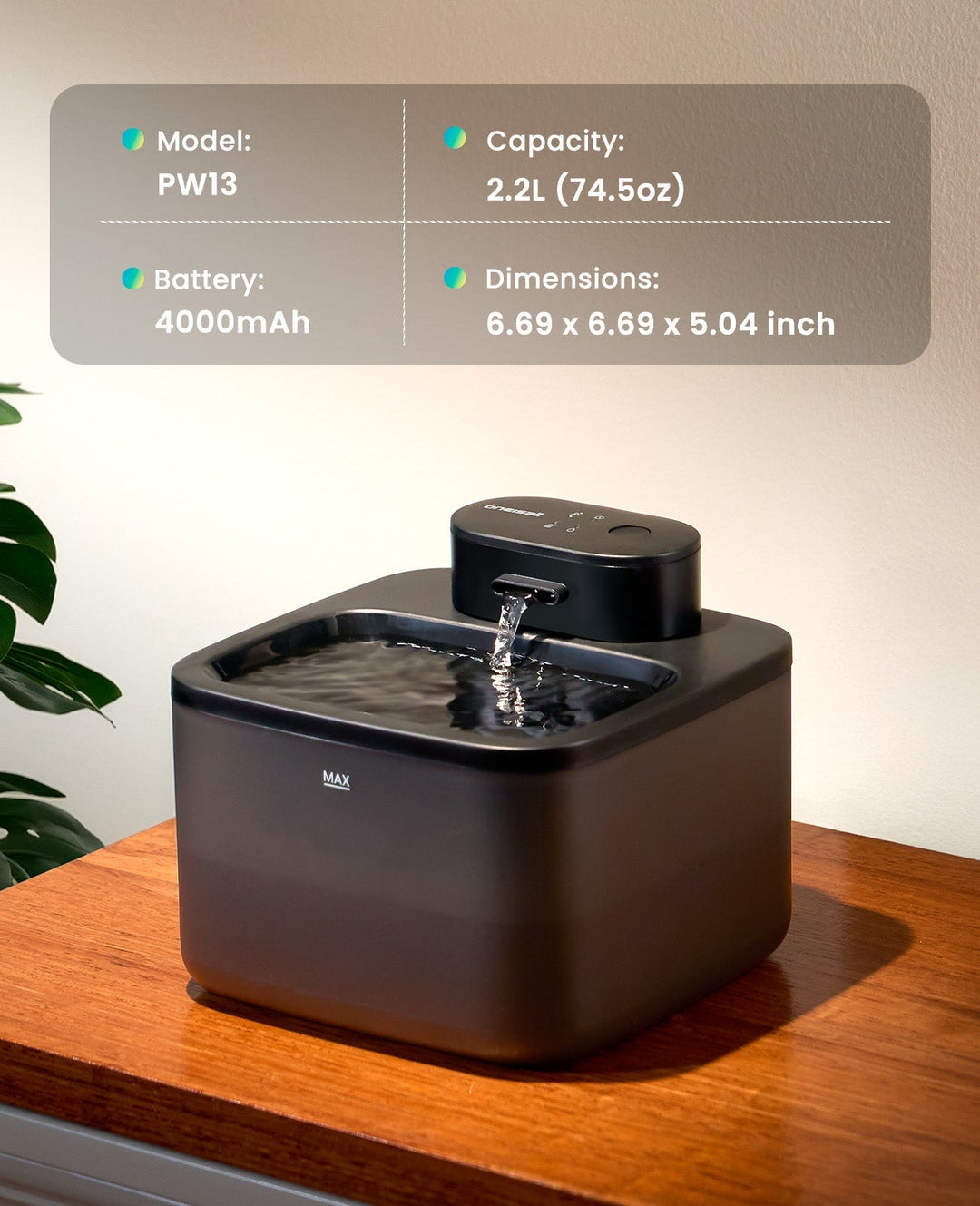 Cat Water Fountain