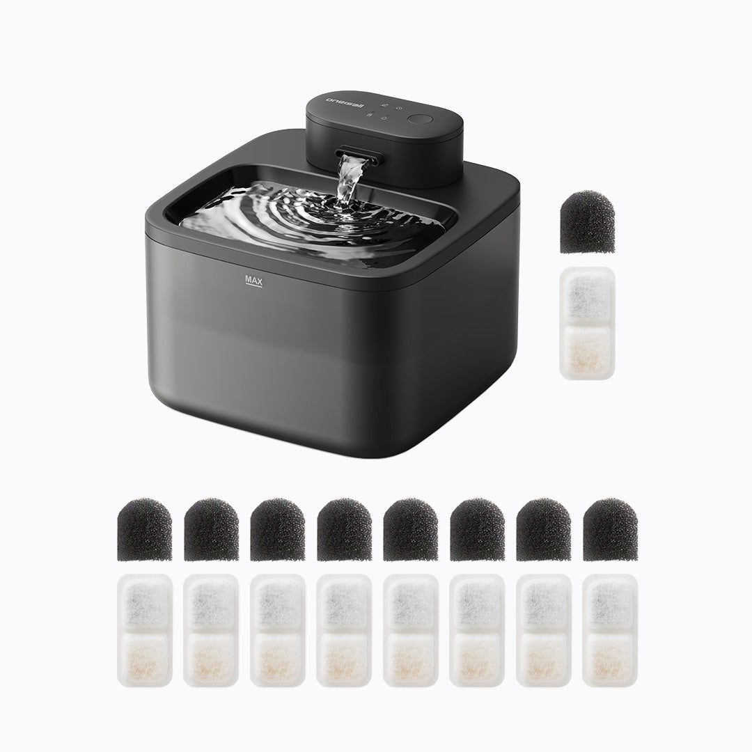 Cat Water Fountain