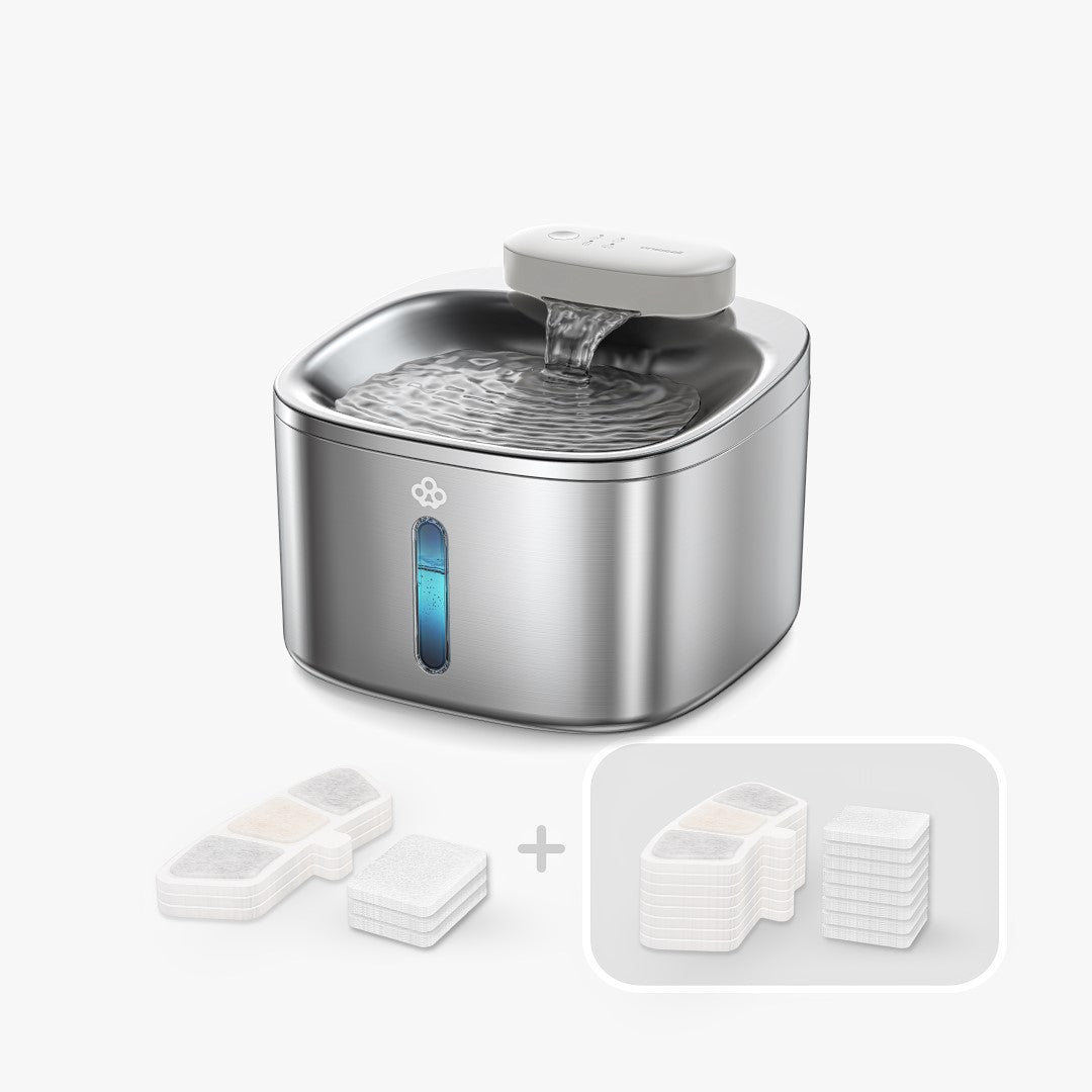 Cordless Smart Pet Water Fountain