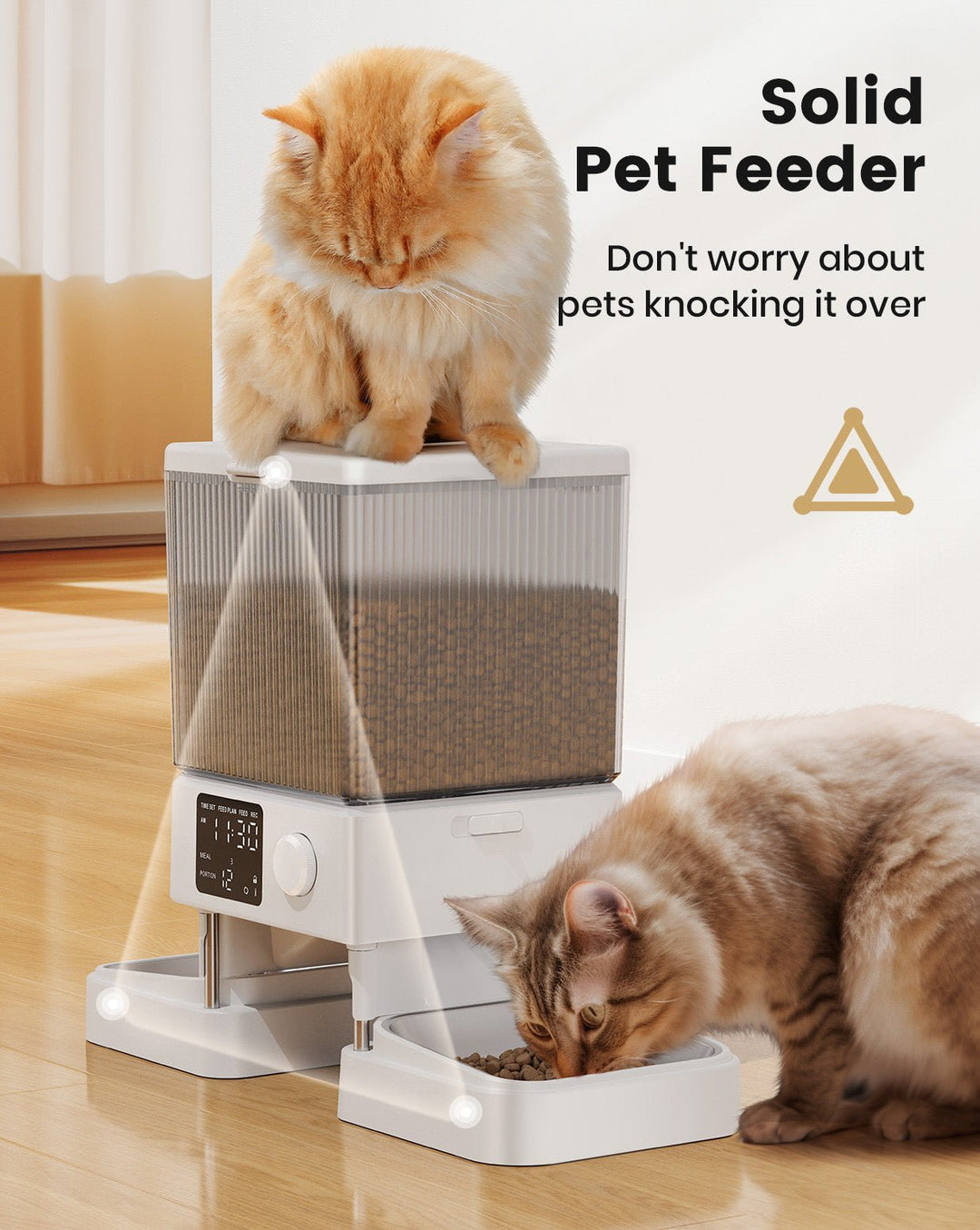 Oneisall 5L Automatic Cat Feeder for Two Cats - Black - Oneisall - EU