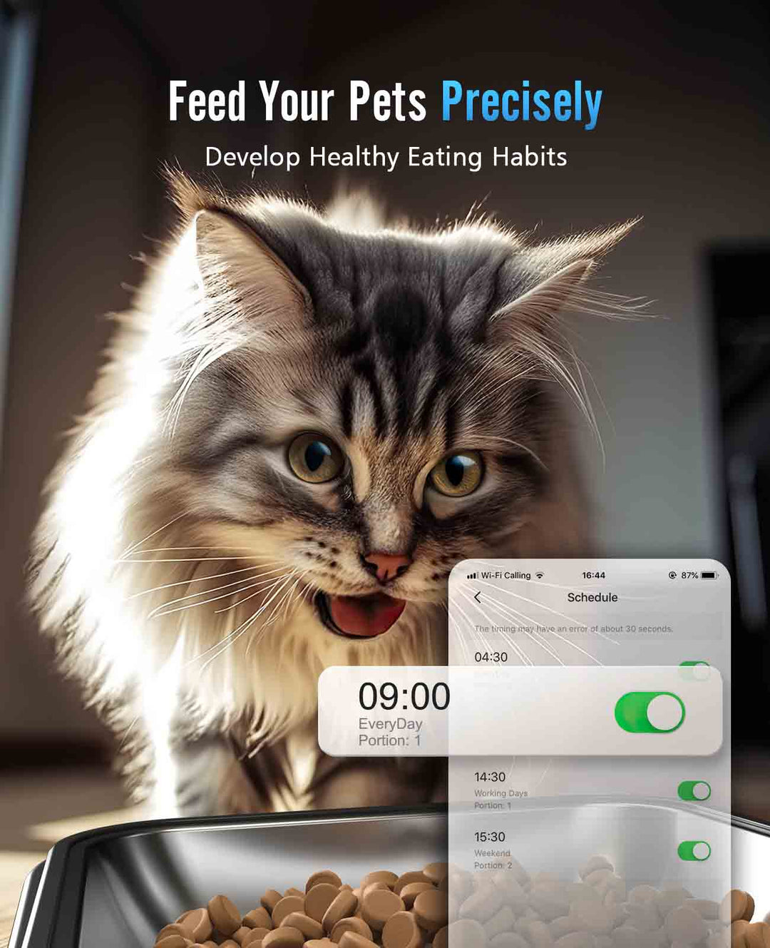 Oneisall 5L Automatic Cat Feeder for Two Cats - Black - Oneisall - EU