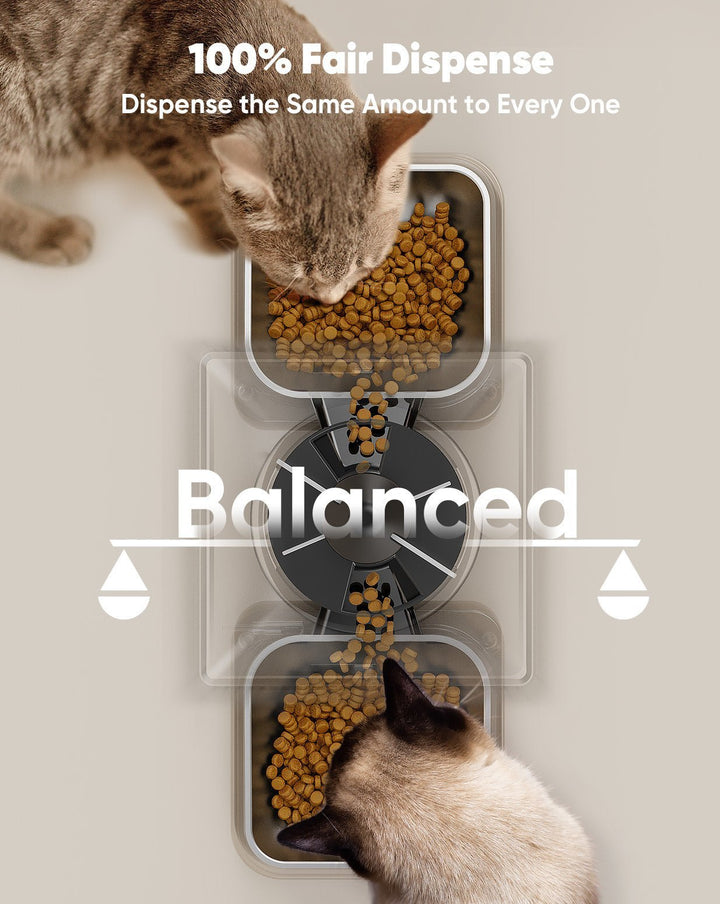 Oneisall 5L Automatic Cat Feeder for Two Cats - Black - Oneisall - EU