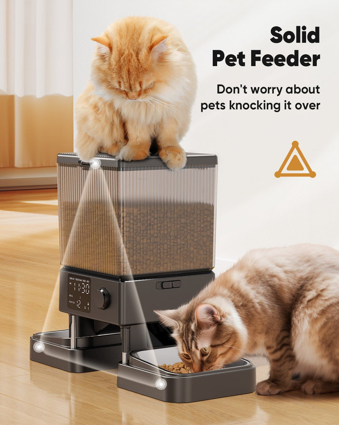 Oneisall 5L Automatic Cat Feeder for Two Cats - Black - Oneisall - EU