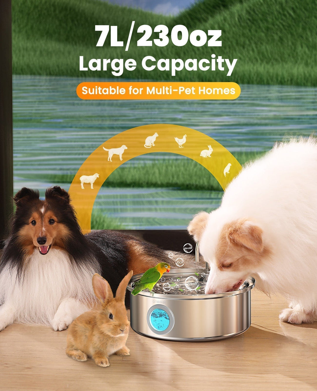 Oneisall 5L Automatic Cat Feeder with APP Control for Two Cats - Oneisall - EU