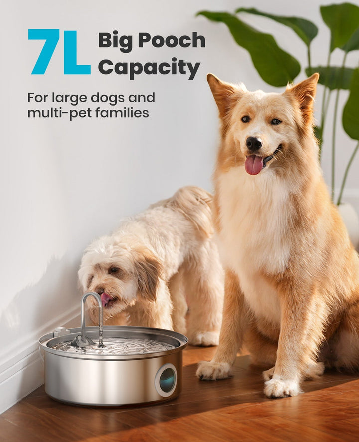 Oneisall 7L Pet Water Fountain with Visual Water Level & 3 Filters - Oneisall - EU