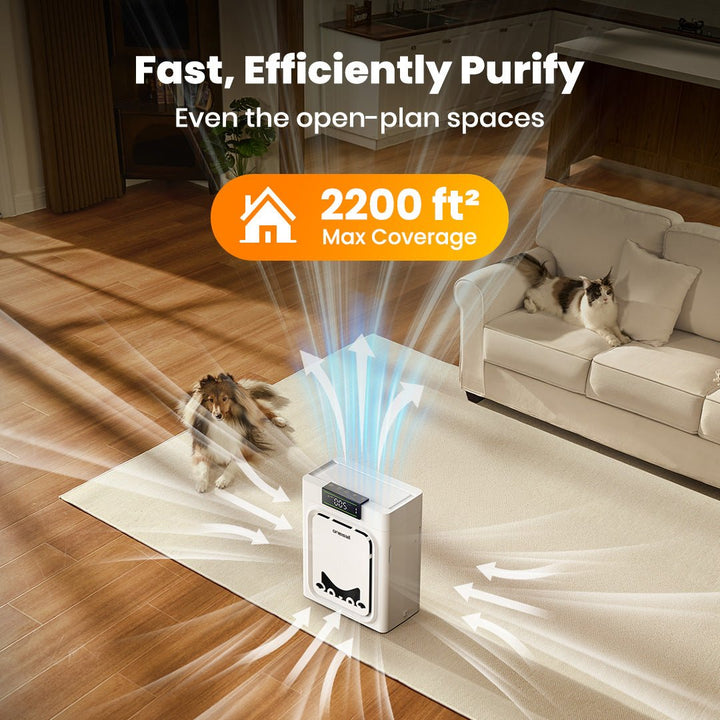 Oneisall Air Purifier for Homes with Pets, Double - Sided Inlet - Oneisall - EU
