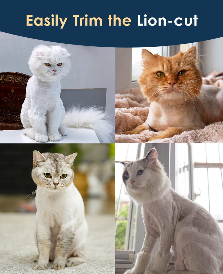 Cat Clipper