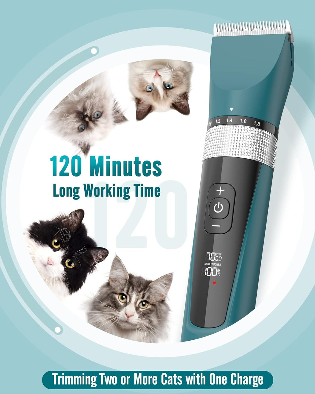 Oneisall YP - 7268 5 Speeds Cat Clipper - Oneisall - EU